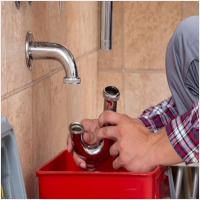 믿음하수구 PC 갤러리 3