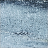 믿음하수구 PC 갤러리 2